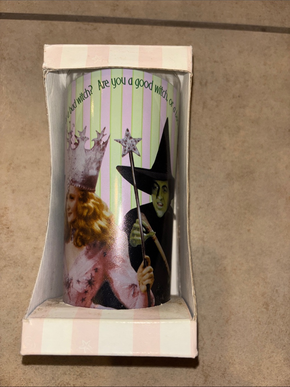 Whimsical Pink & Green Wizard of Oz Are You a Good Witch-Themed Tumbler